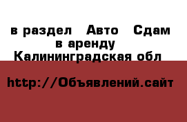  в раздел : Авто » Сдам в аренду . Калининградская обл.